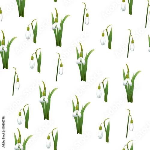 Fototapeta Naklejka Na Ścianę i Meble -  Seamless pattern with many snowdrops flowers with green stems and leaves same sizes. White background. Vector illustration