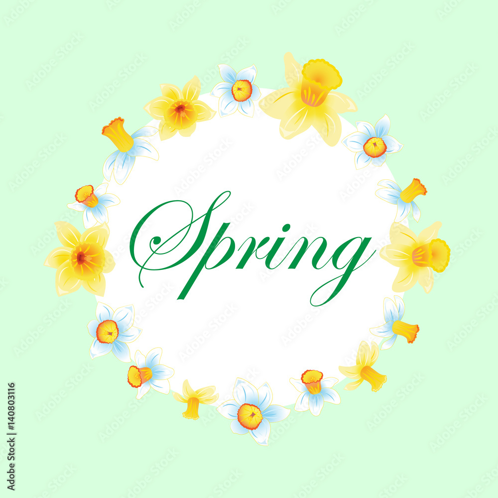Fresh spring background with small yellow and blue narcissus with green leaves. Vector illustration