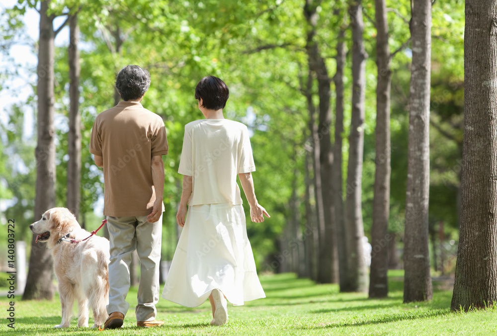 Mature couple walking a golden retriever Mature couple walking a golden retriever