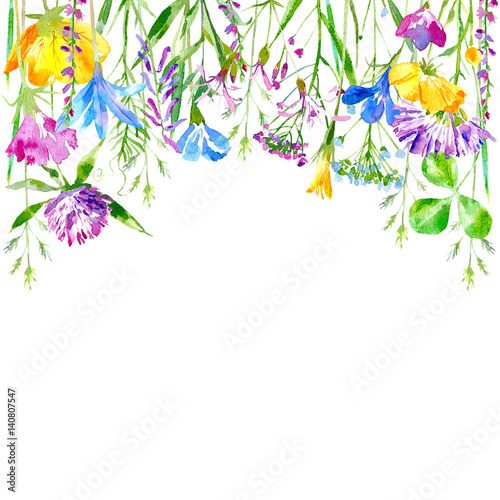 Floral border of a wild flowers and herbs on a white background.Buttercup  clover bluebell vetch timothy grass lobelia spike. Watercolor hand drawn illustration.