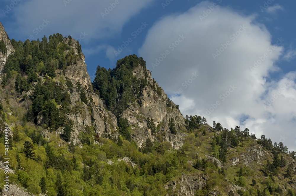 Mountain top overgrown with high trees, rock and glade of Rila mountain, Bulgaria Mountain top overgrown with high trees, rock and glade of Rila mountain, Bulgaria