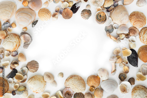 seashells background.Circle of seashells white background Circle of sea shells white background. Nautical composition. Sea shells, starfish on a white background. Flat plan, top view,