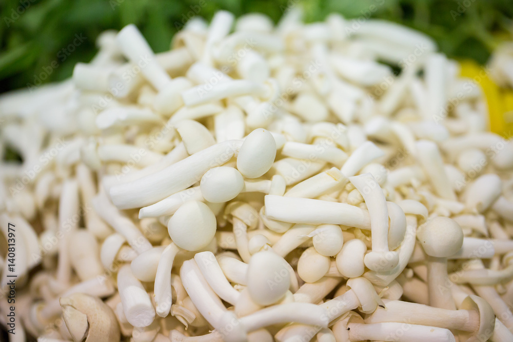 Mushrooms sold in the market Mushrooms sold in the market