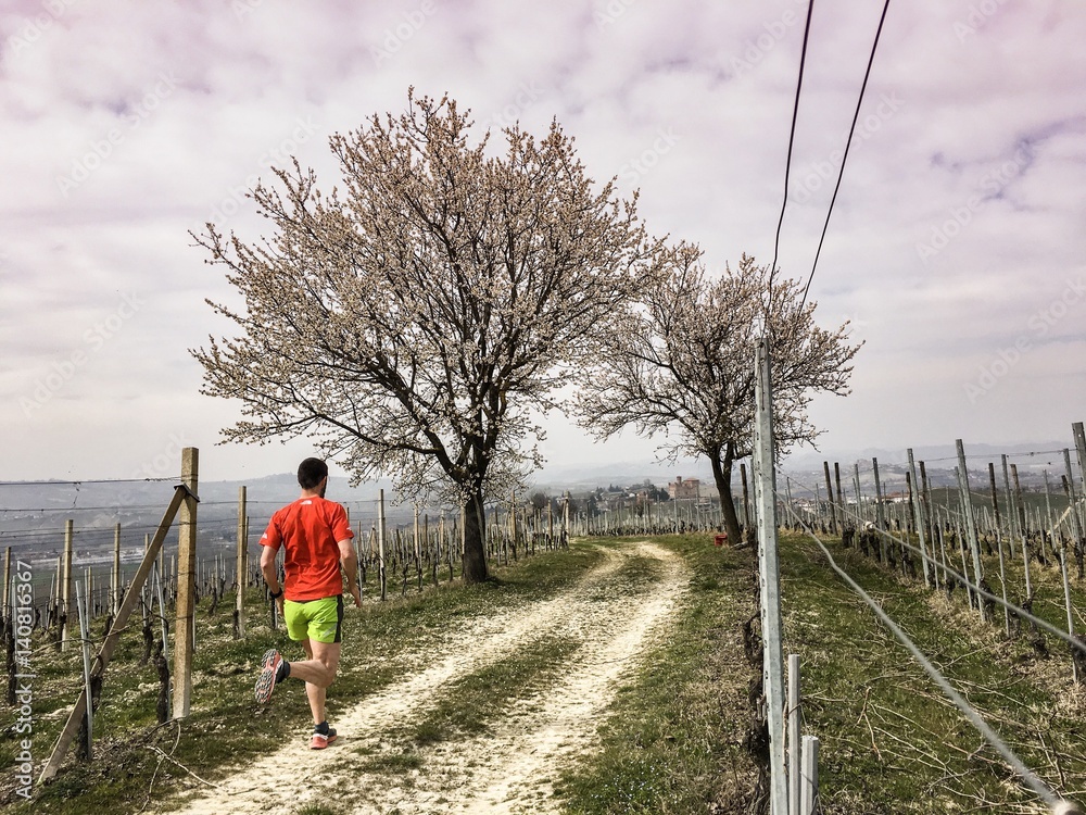 Man running in the vineyards in spring Man running in the vineyards in spring