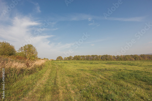 Countryside road at summer Meadow - russian rural landscape