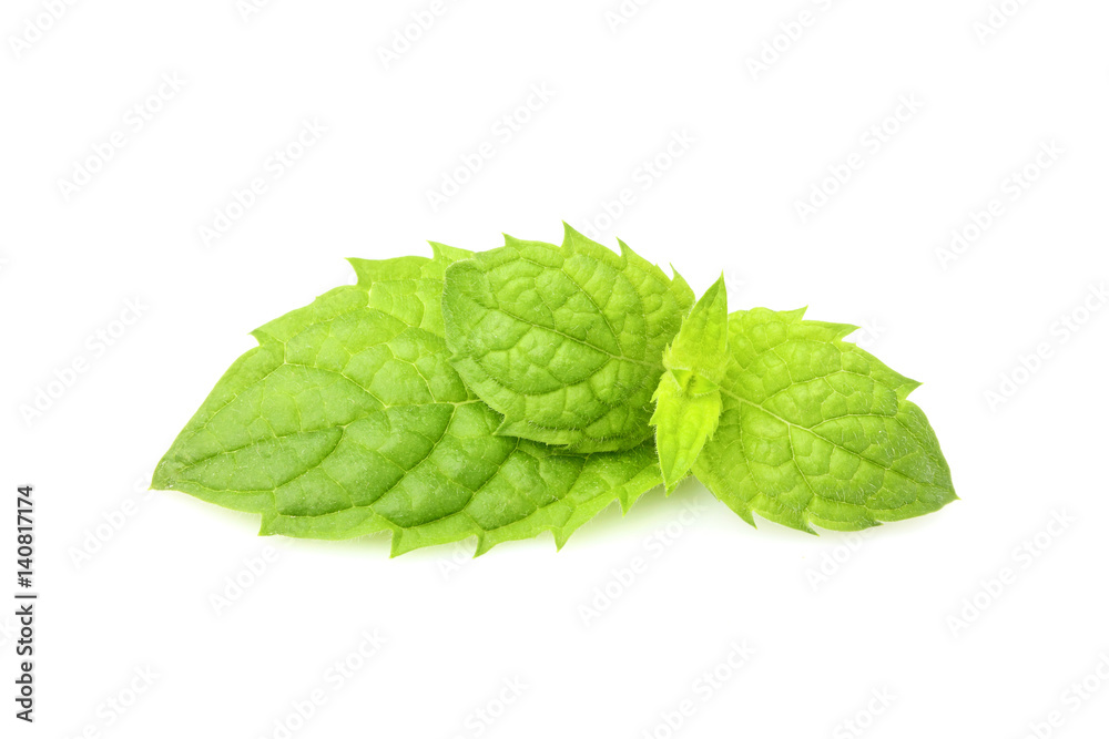 Fresh mint isolated. Fresh mint isolated.