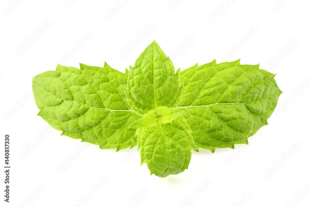 Sprig of fresh mint isolated. Sprig of fresh mint isolated.
