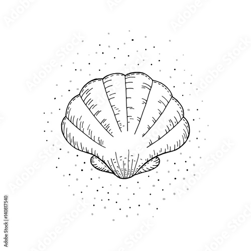 Hand drawn vector illustrations of seashells.