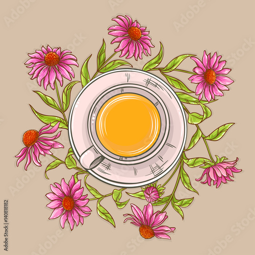 cup of echinacea tea