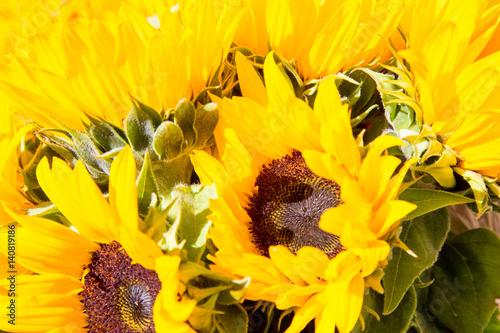 Close-up of bouquet of sunflowers photo