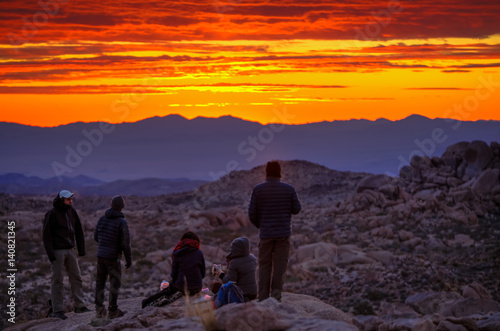 Dawn in the desert of Joshua Tree California