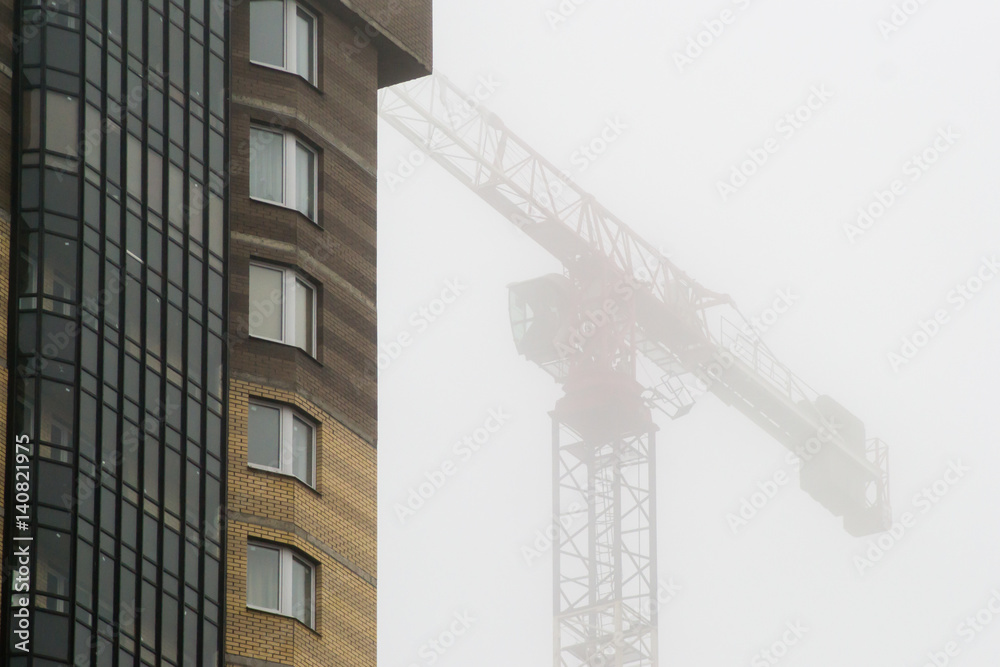 Fototapeta premium the crane in the fog