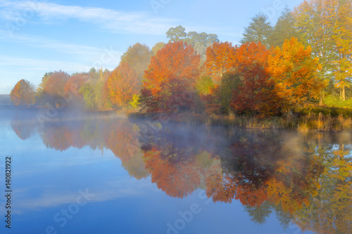 Autumn trees in the mist © hannesthirion