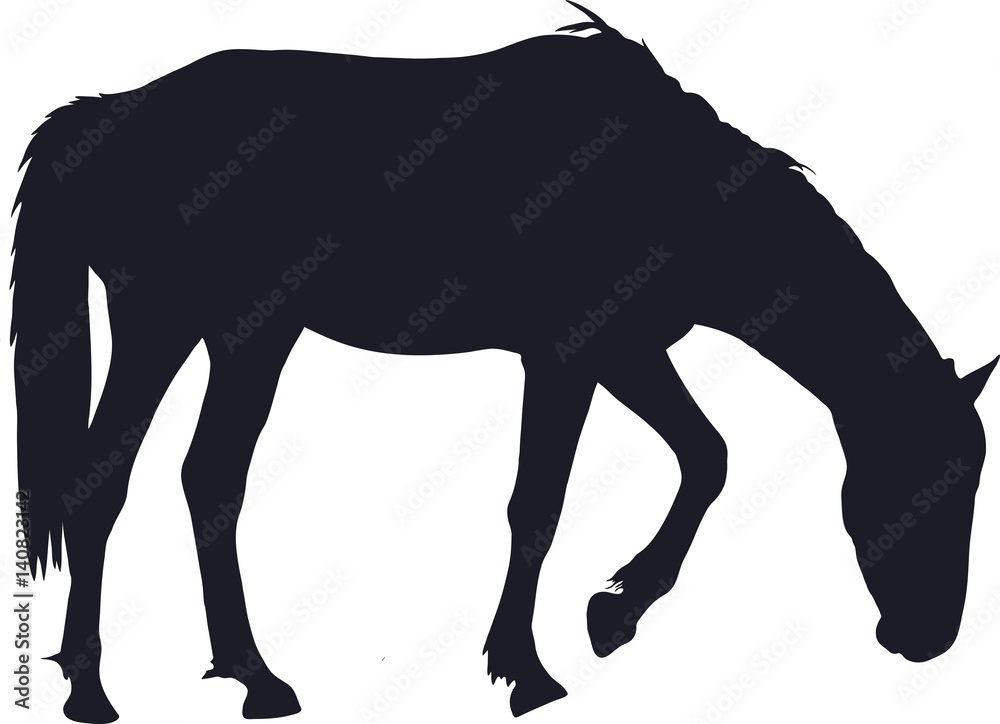 Fototapeta premium Silhouette of a garub desert wild horse - digitally hand drawn vector illustration
