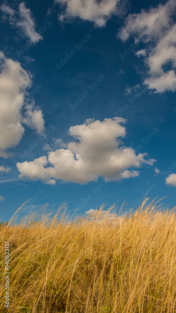 Autumn dry feather grass and clouds in hilly terrain Autumn dry feather grass and clouds in hilly terrain