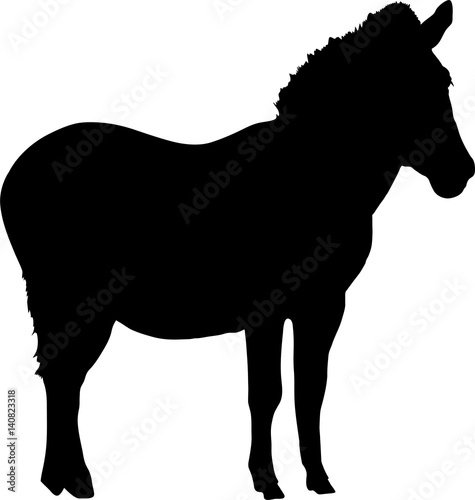 Canvas Print Silhouette of a desert zebra - digitally hand drawn vector illustration
