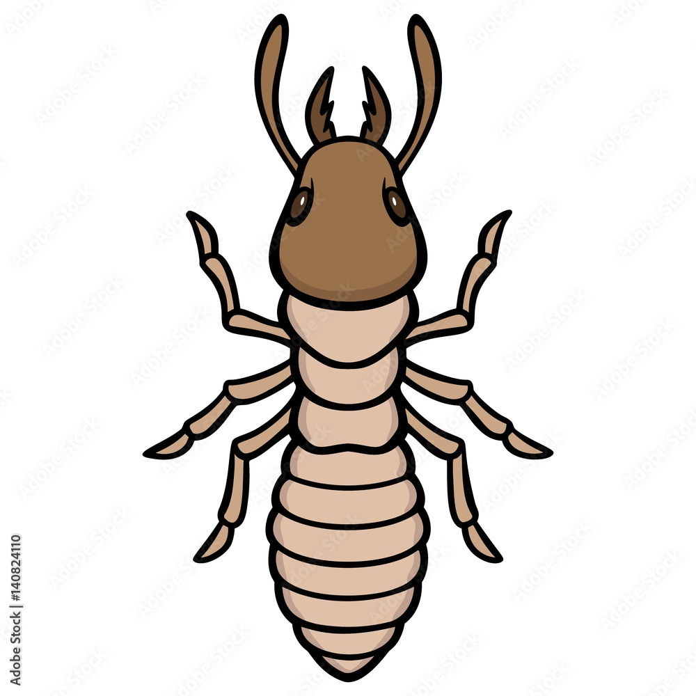 Obraz premium Termite