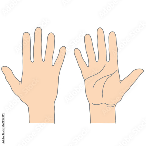 Human palm outside and inside