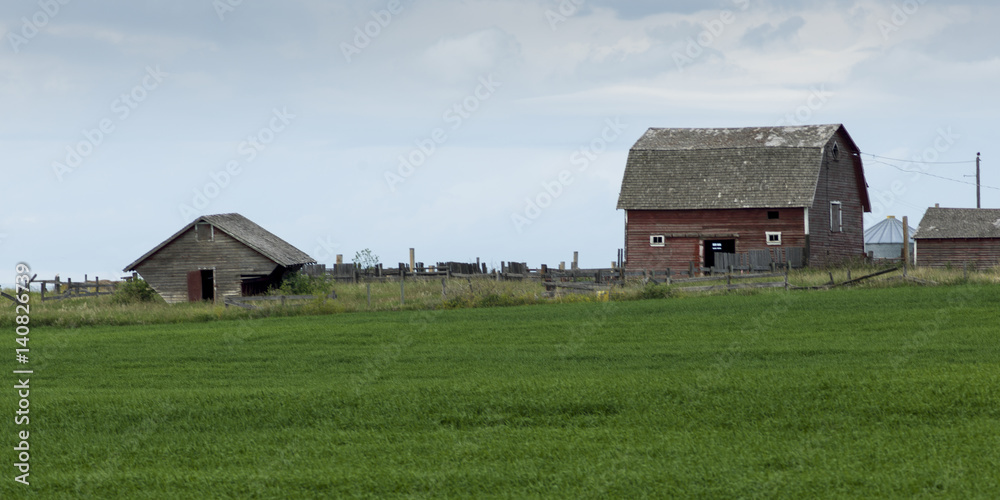Fototapeta premium Alberta, Canada