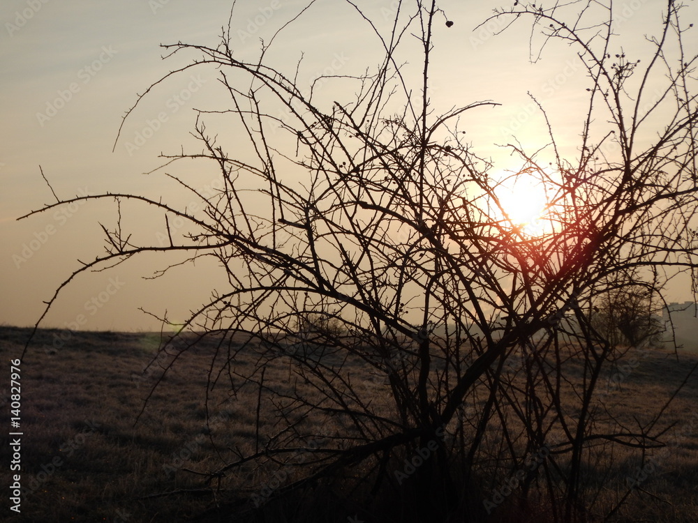 chilly morning in an autumn nature chilly morning in an autumn nature