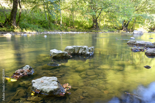 A slow moving stream in a forest