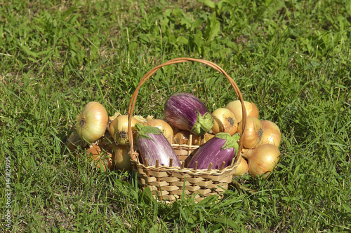 Graffiti eggplants in a basket and onion on grass