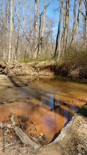 Oakton woods