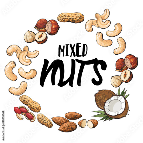 Round frame of coconut, cashew, peanut, hazelnut, almond nuts with place for text, sketch style vector illustration isolated on white background. Round frame of various nuts with place for text