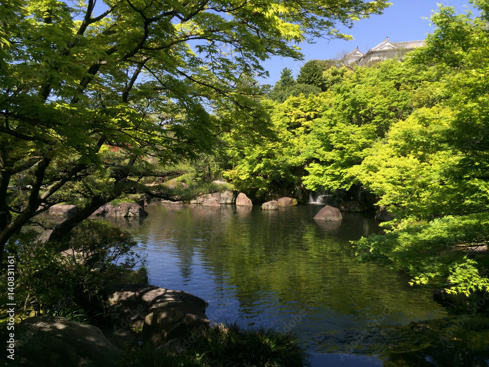 Typical Japanese garden