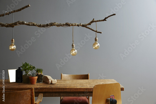 modern interior wooden furniture and design lamp branch and bulbs