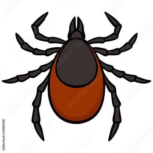 Tick