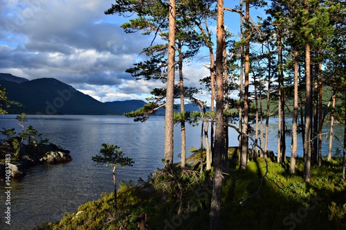 Lake view in Vradal in Telemark