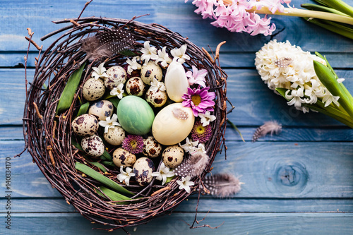 Nest with easter eggs on a blue wooden background