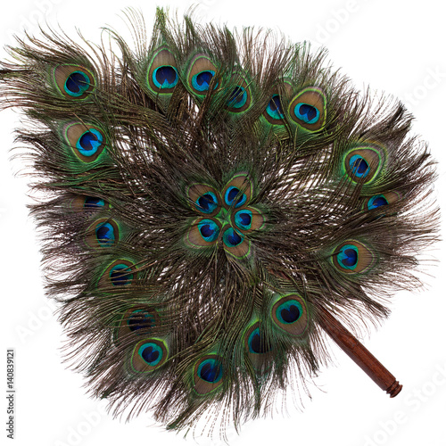 A fan of peacock feathers