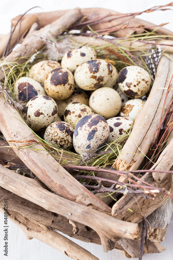 Quail eggs of birds nest. Easter composition. Quail eggs of birds nest. Easter composition.