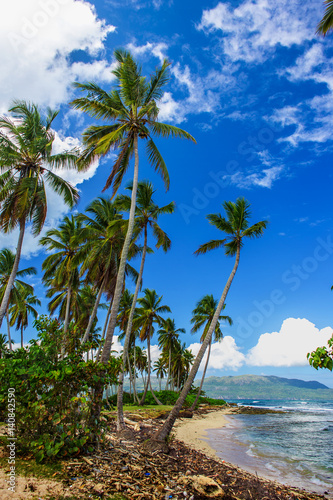 Fototapeta Naklejka Na Ścianę i Meble -  Tropical beach landscape. Samana, Dominican Republic