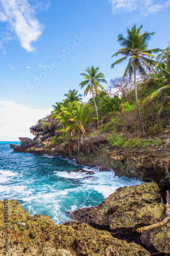 Wild tropical rocky shore  bay  lagoon. Sea stormy Splash  Green palm trees on the rocks. Las Galeras  Samana  Dominican Republic