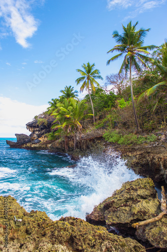 Fototapeta Naklejka Na Ścianę i Meble -  Wild tropical rocky shore, bay, lagoon. Sea stormy Splash, Green palm trees on the rocks. Las Galeras, Samana, Dominican Republic