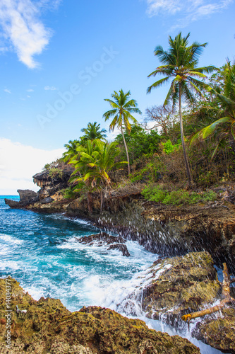 Wild tropical rocky shore, bay, lagoon. Sea stormy Splash, Green palm trees on the rocks. Las Galeras, Samana, Dominican Republic