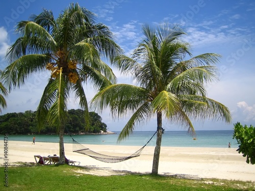 Cocotiers et hamac sur une plage  Bintan  Indon  sie 