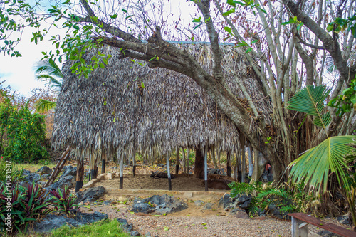 Traditional bure with thatched roof. Dominican republic