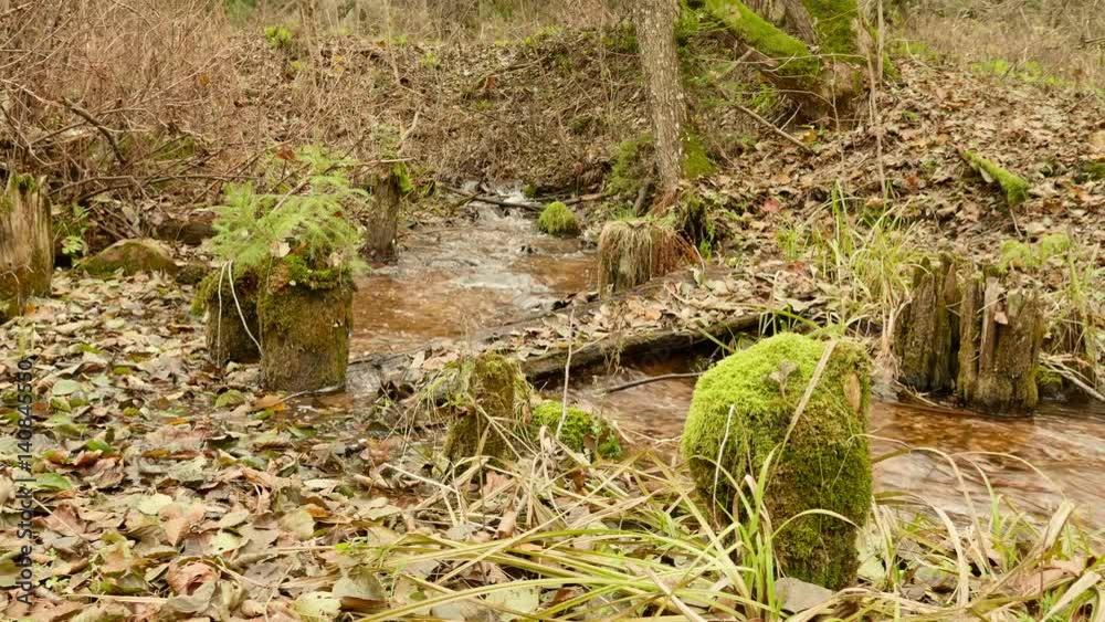 Broken wooden bridge on the forest river. Autumn daytime. Smooth dolly shot Broken wooden bridge on the forest river. Autumn daytime. Smooth dolly shot