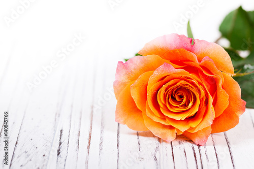 Roses on Wooden background. Selective focus.