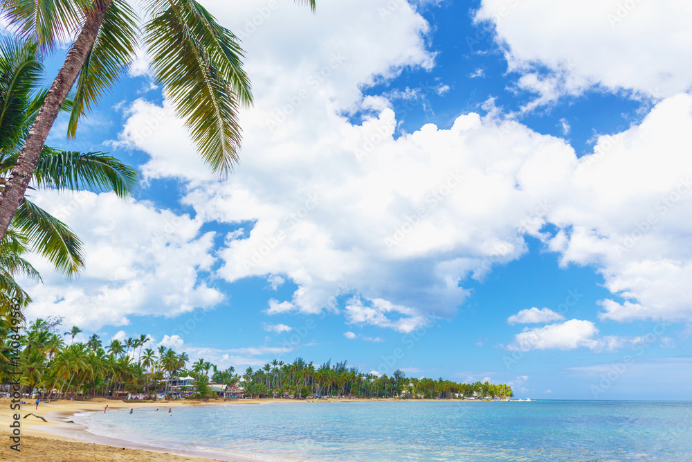 Tropical island. Palm trees, sand, ocean on background of blue sky with white clouds Tropical island. Palm trees, sand, ocean on background of blue sky with white clouds