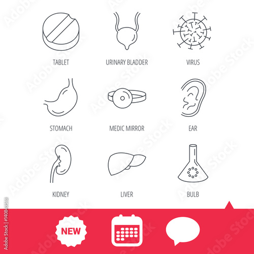 Virus, tablet and stomach organ icons. Liver, kidney and urinary bladder linear signs. Medic mirror, ear and lab bulb flat line icons. New tag, speech bubble and calendar web icons. Vector