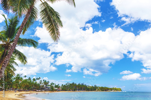 Tropical island. Palm trees  sand  ocean on background of blue sky with white clouds