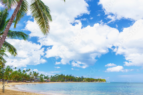 Tropical island. Palm trees, sand, ocean on background of blue sky with white clouds