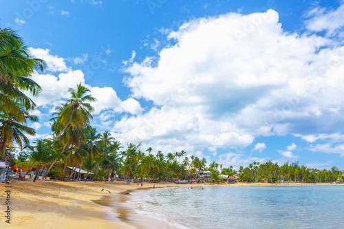 Caribbean Tropical island. Palm trees  sand  ocean on background of blue sky with white clouds