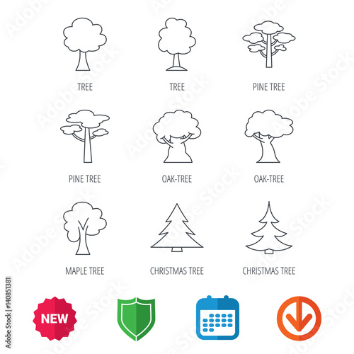 Pine tree, maple and oak icons. Christmas trees linear signs. Forest trees flat line icons. New tag, shield and calendar web icons. Download arrow. Vector