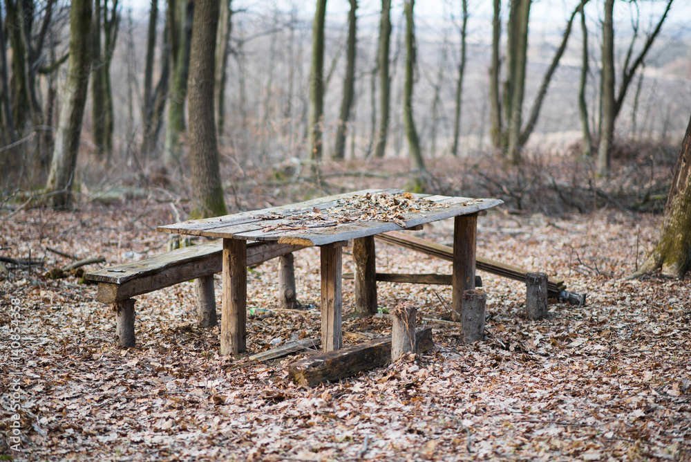 Wooden table with benches in the woods Wooden table with benches in the woods